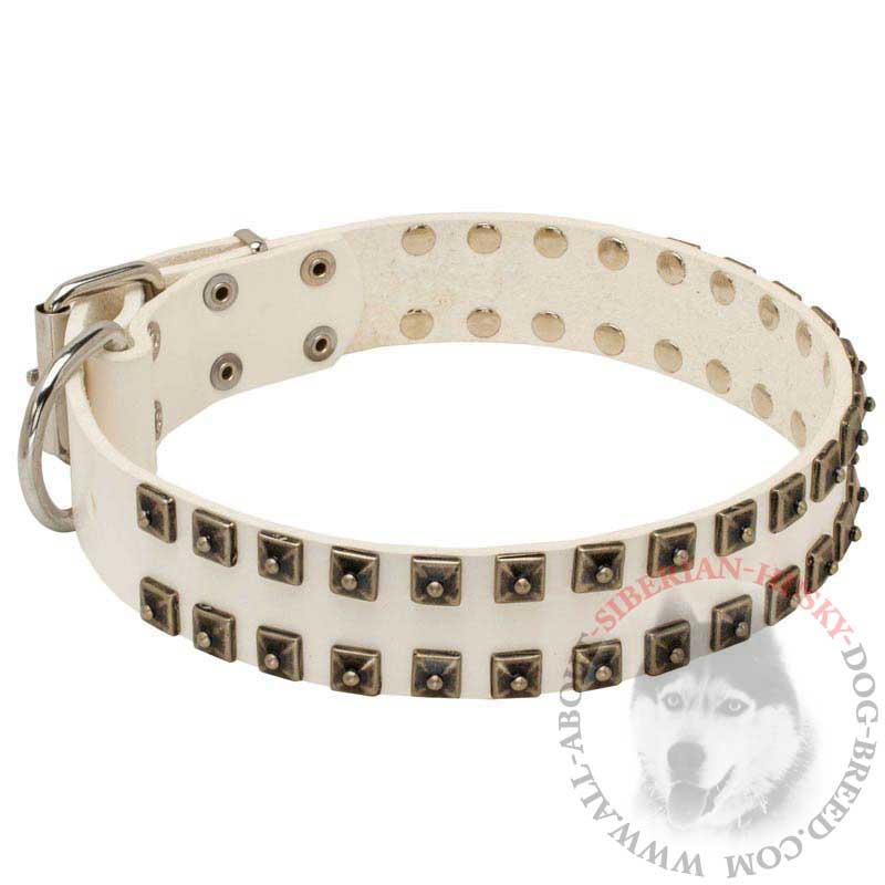 white leather dog collar and leash