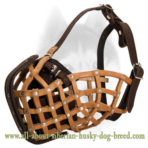 Leather basket clearance muzzle