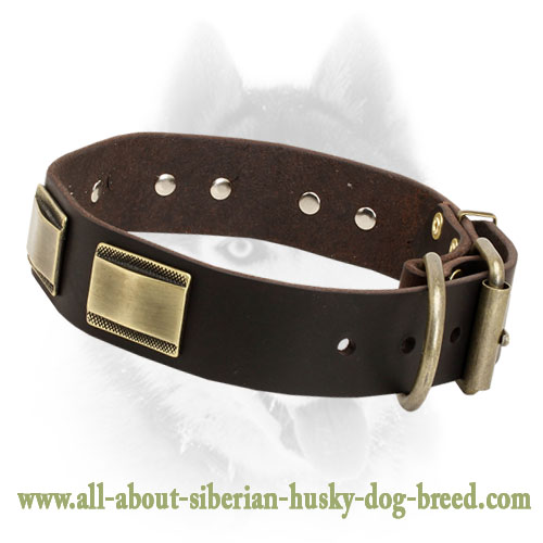 Luxury Dog Collars Leashes, Luxury Dog Harness Leash