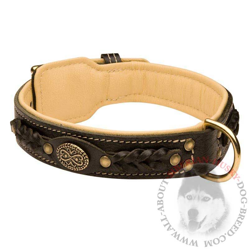 Royal Nappa Padded Handmade Leather Dog Collar for Siberian Husky cheapest (model OldMill-C43)