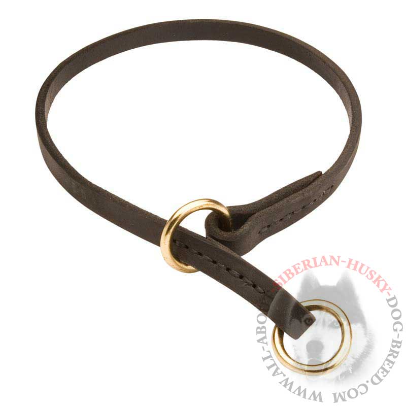 Husky training clearance collar